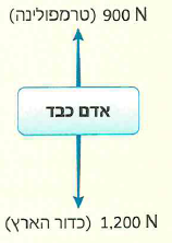 (בספר תרשים)